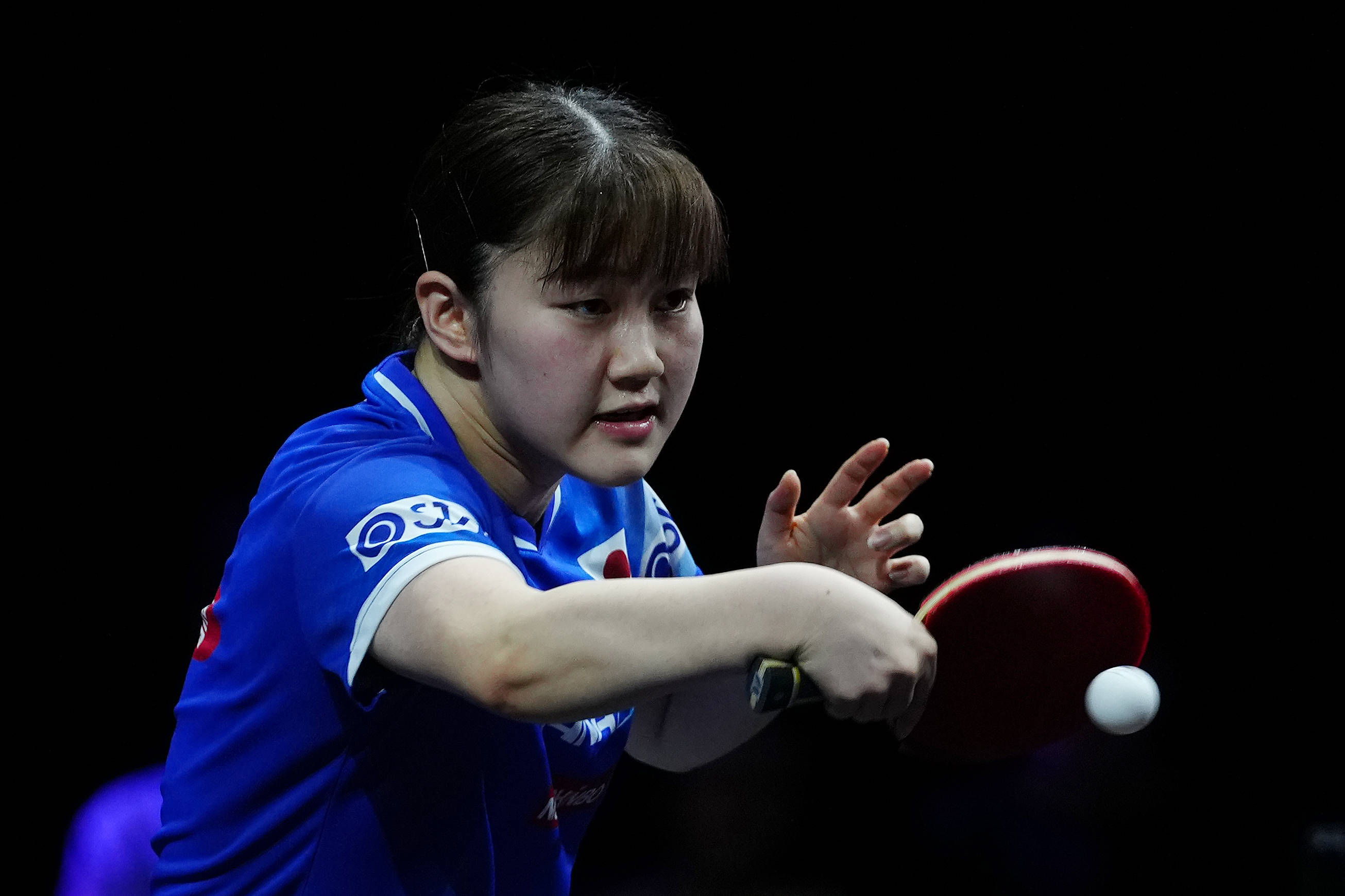 不仅展示了 不仅展示了